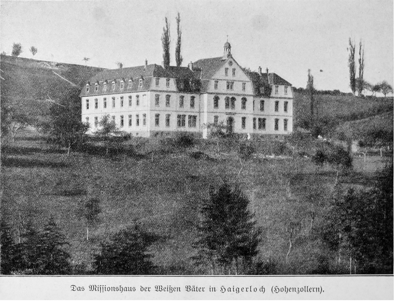 Beschreibung
