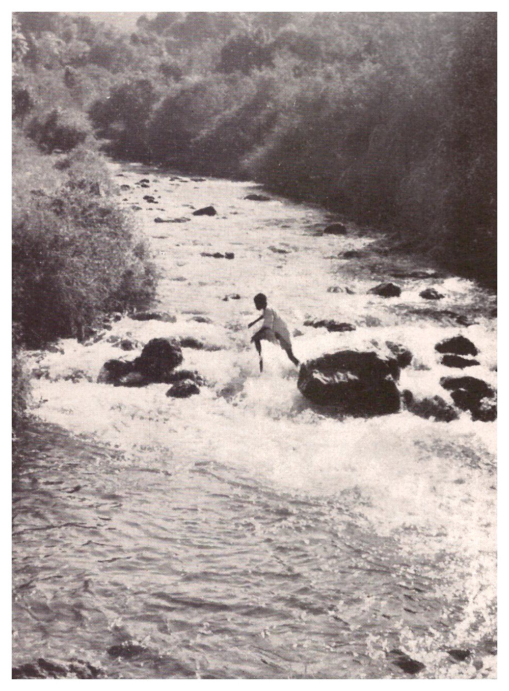 Nilquellfluss